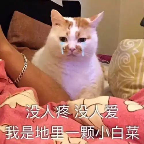  壁纸头像生活已经这么难了,人生需要欢乐so来一波表情包嘿嘿
