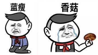  再见,2016你好,2017
