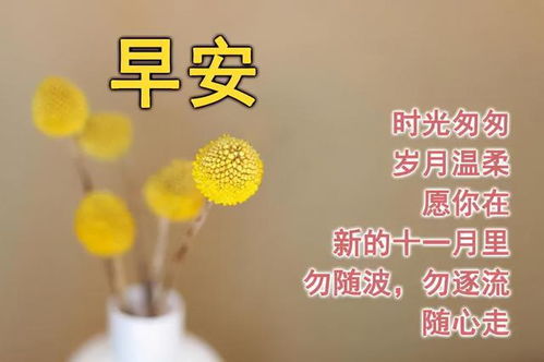  最新周一早上好祝福语表情包,一心一意问候,愿你一生一世安康