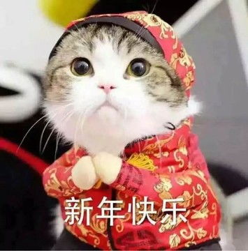 开心的微信表情包图片