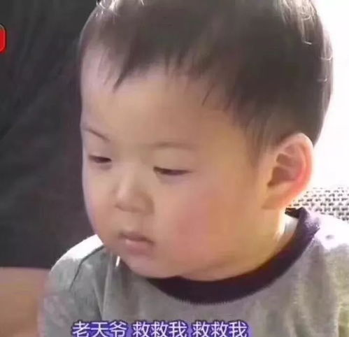 好运气表情包大全换头
