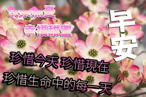  中老年早上好表情包朋友圈新版早晨好祝福图片大全非常好看的唯美温馨的早安图片带字