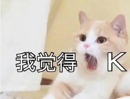  猫喜欢被人摸肚子吗