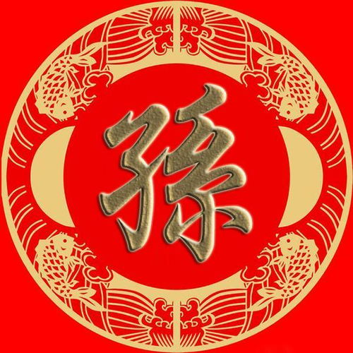  赵钱孙李,周吴郑王,冯陈褚卫,蒋沈韩杨,朱秦尤许姓氏微信头像