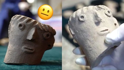  村民翻地翻出5000年前文物,造型让人忍俊不禁像emo表情包