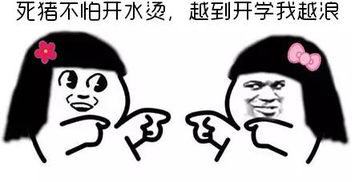  明天就要开学了表情包