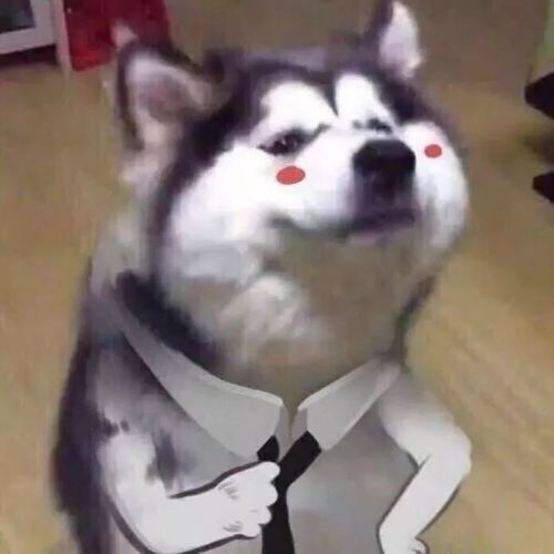  宅家不无聊手册,请查收