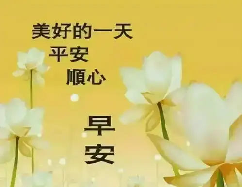  6月29日周二发朋友圈早安心语