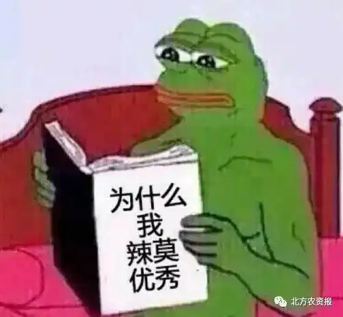  后期国产氯化钾价格或将被迫下调