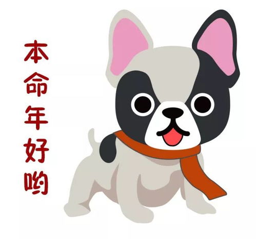 聊天必备丨萌犬年的俏皮表情包来袭