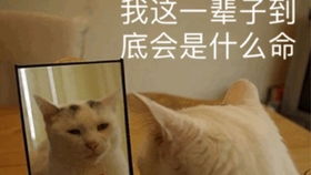  在西南交通大学读研是什么体验分享研究生第一学期的经历和感受