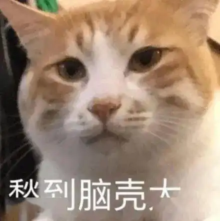  每周猫咪沙雕表情包速存