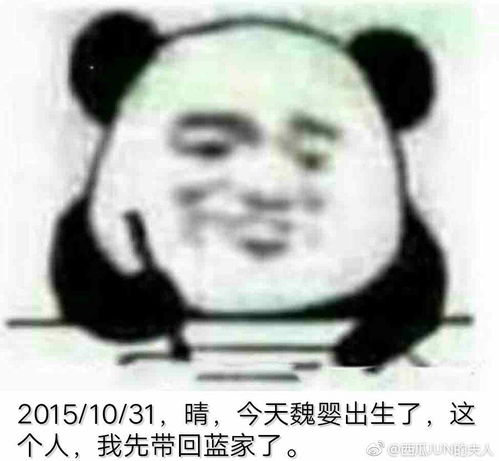  魔道祖师,天官赐福日记系列表情包