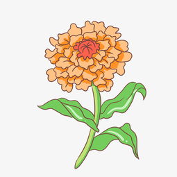  黄色的鲜花花卉插画图片素材其他格式下载动漫人物大全