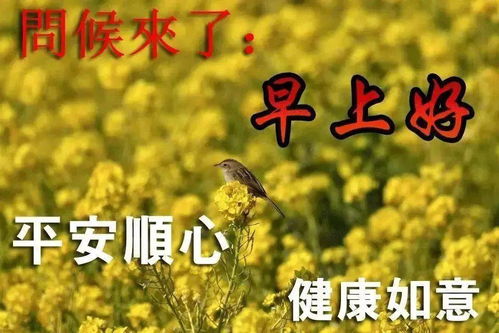  微信早安好秋天超级暖心图片群发微信问候好朋友早上好祝福表情短信