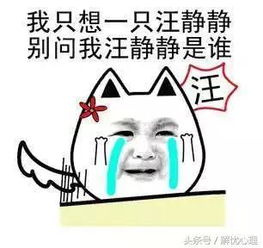  月上柳梢头,还是单身狗人约黄昏后元宵