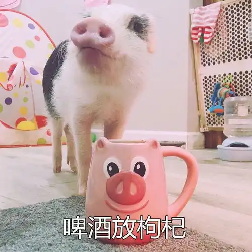  求问好看的男式单肩包