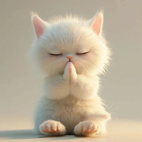  祈福祈愿小猫小狗头像