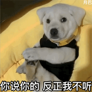  表情包你斗图时的最爱