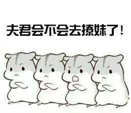  求小仓鼠表情包,最好是对男票专用的oo