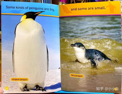  hello,penguin儿童国家地理prereader