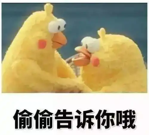  真人实测一白到底,5月便宜又好用的好物分享