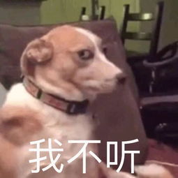  2斤小龙虾热量跑半程马拉松吃一次最好不超过10只吃货们炸了