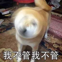 天气崩盘威海又要发威了晴雪云阴随机切换,气温也要降降降