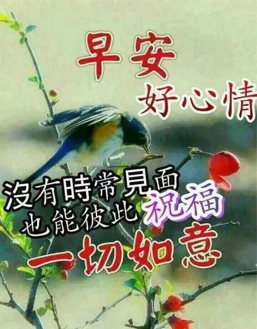  2021牛年冬季微信暖心祝福语,冬季祝福问候语句精选