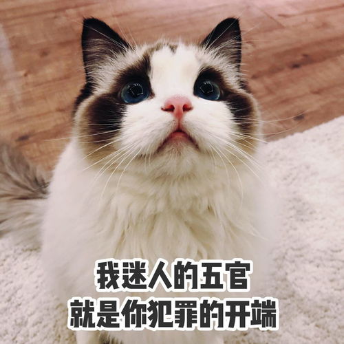 沙雕表情包l害当个美少女可真难啊