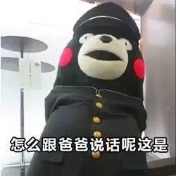  熊本展卖真的来啦公仔配件服饰19.9元起你想要的实物版表情包都有