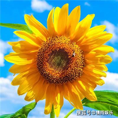 能旺财好运的微信头像