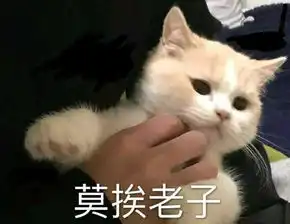  你是怎么巧妙躲避爱情的聊天截图笑到抽搐