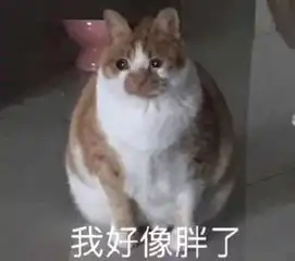 为逃避健身,竟对教练表白网友什么神操作