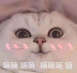 如何自制狗粮