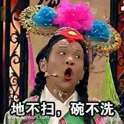  2017宋小宝同一个世界同一个妈表情包
