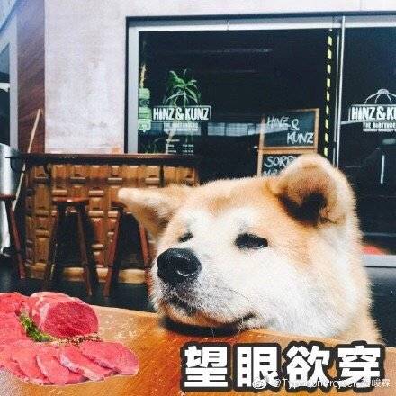  樱樱表情包不完全整理多图预警