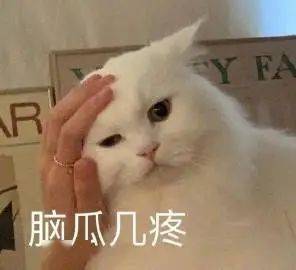 社恐在大学里崩溃的那些瞬间