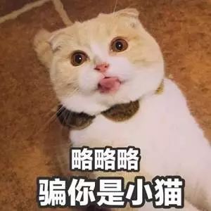 吃了吗图片隐藏屎字恶搞
