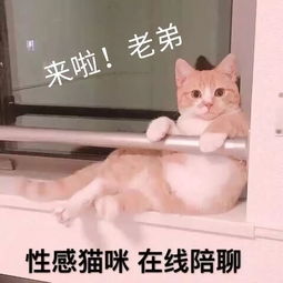  黑科技防污t恤加上换物种头套,让你远离万圣节血浆喷湿的尴尬精分剧场