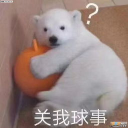  想知道男友在干嘛又不想表现太明显图片小朋友的目光表情包下载乐游网游戏下载