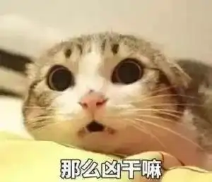  厦门一毕业生要求7000元薪资,面试官滚那厦门一个月工资要多少才合适呢