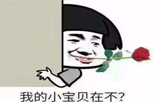  灯等灯等灯合肥有史以来最大最牛逼的灯展来啦美哭了......