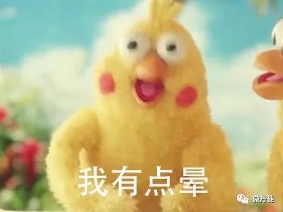  偷鸡摸狗还团伙作案这些毛贼是来竞争年度最搞笑奖的吗