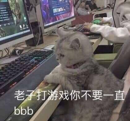  能使人开心的表情包,我玩游戏你不要一直讲话好不好