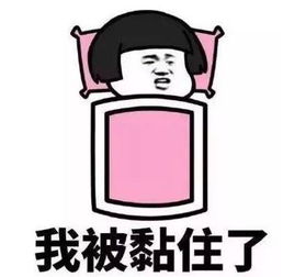  今日大雪梅州,明天的天气是这样的