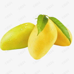  三颗芒果素材图片免费下载高清产品实物png千库网图片编号7397806