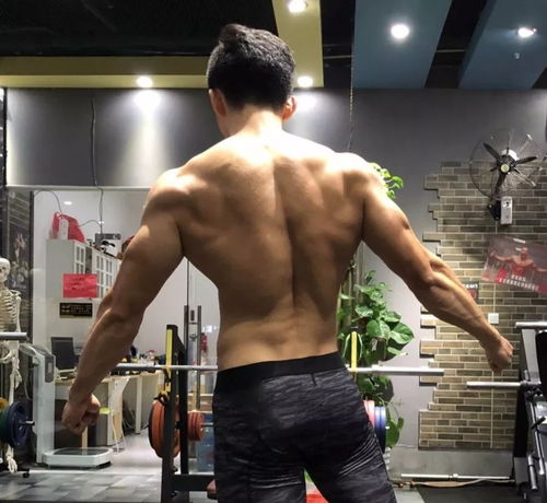  新手想更快练出好身材这8点你要先知道