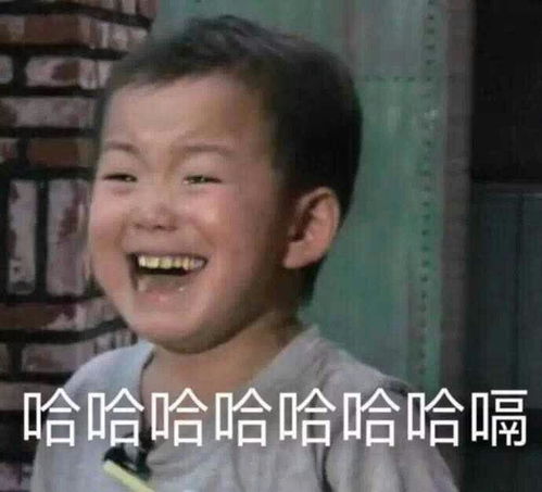  你见到过哪些笑到不行表情包