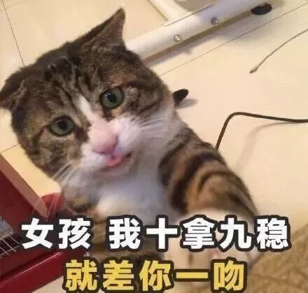 情侣之间的套路表情包土